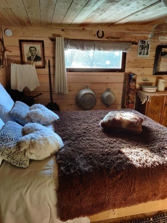 La Cabane du Trappeur à La Bourgonce, photo 2