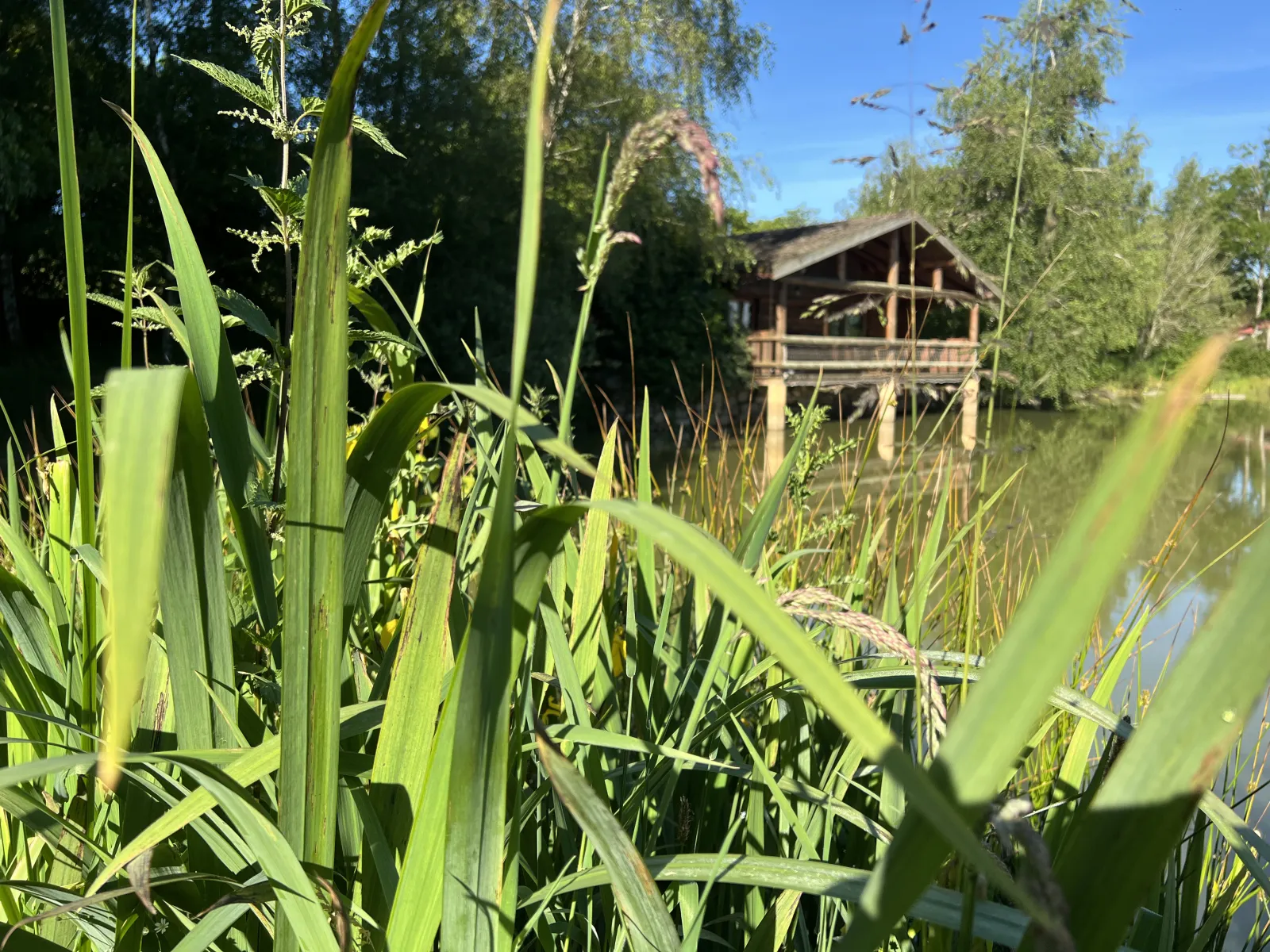 Cabane du Trappeur à Roches, photo 2