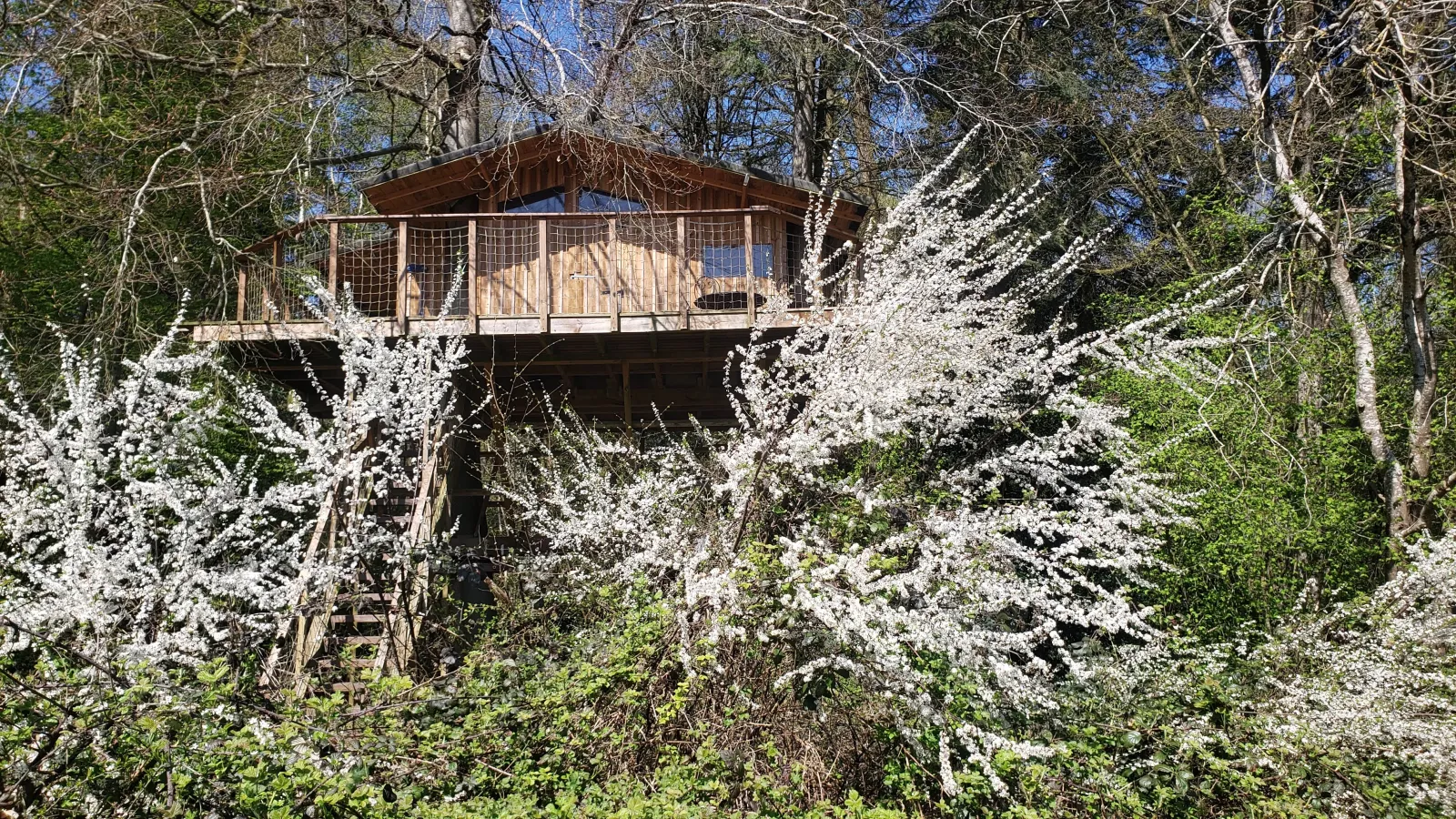 Cabane du Valdorgère à Bailleul-la-Vallée, photo 2