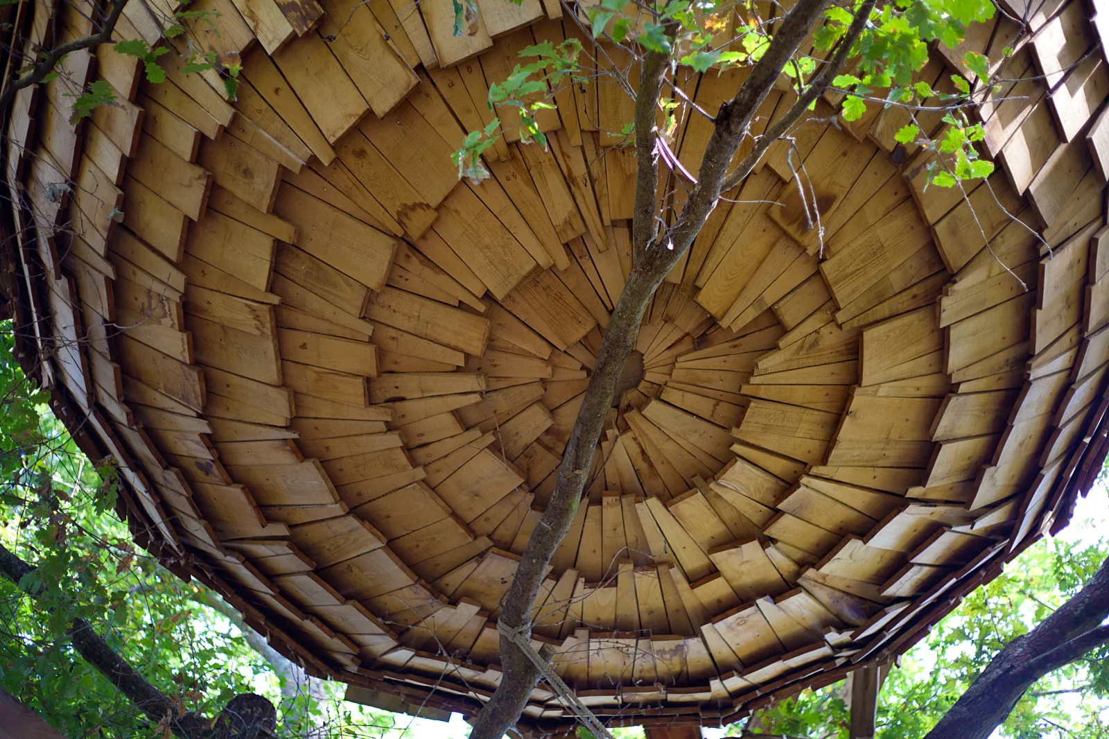 Cabane du Verger à La Chapelle-aux-Naux, photo 5