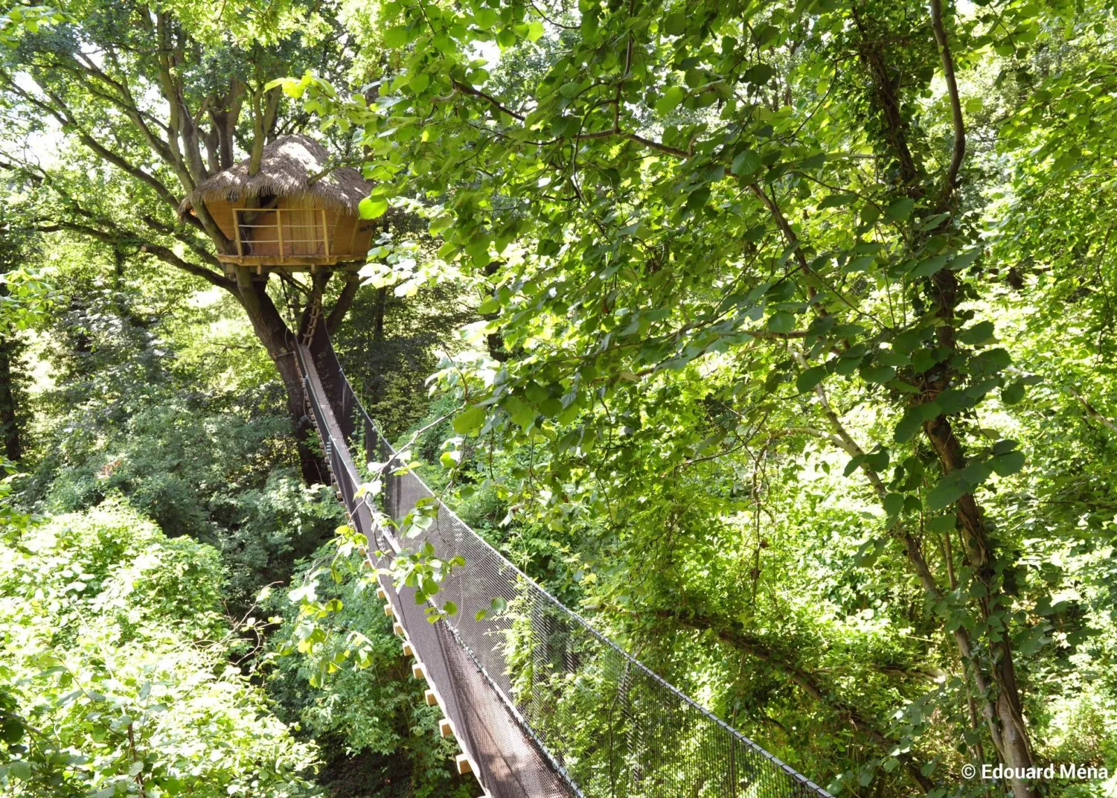 Cabane du Vieux Chêne, cabane dans les arbres à Saint-Germain-des-Essourts