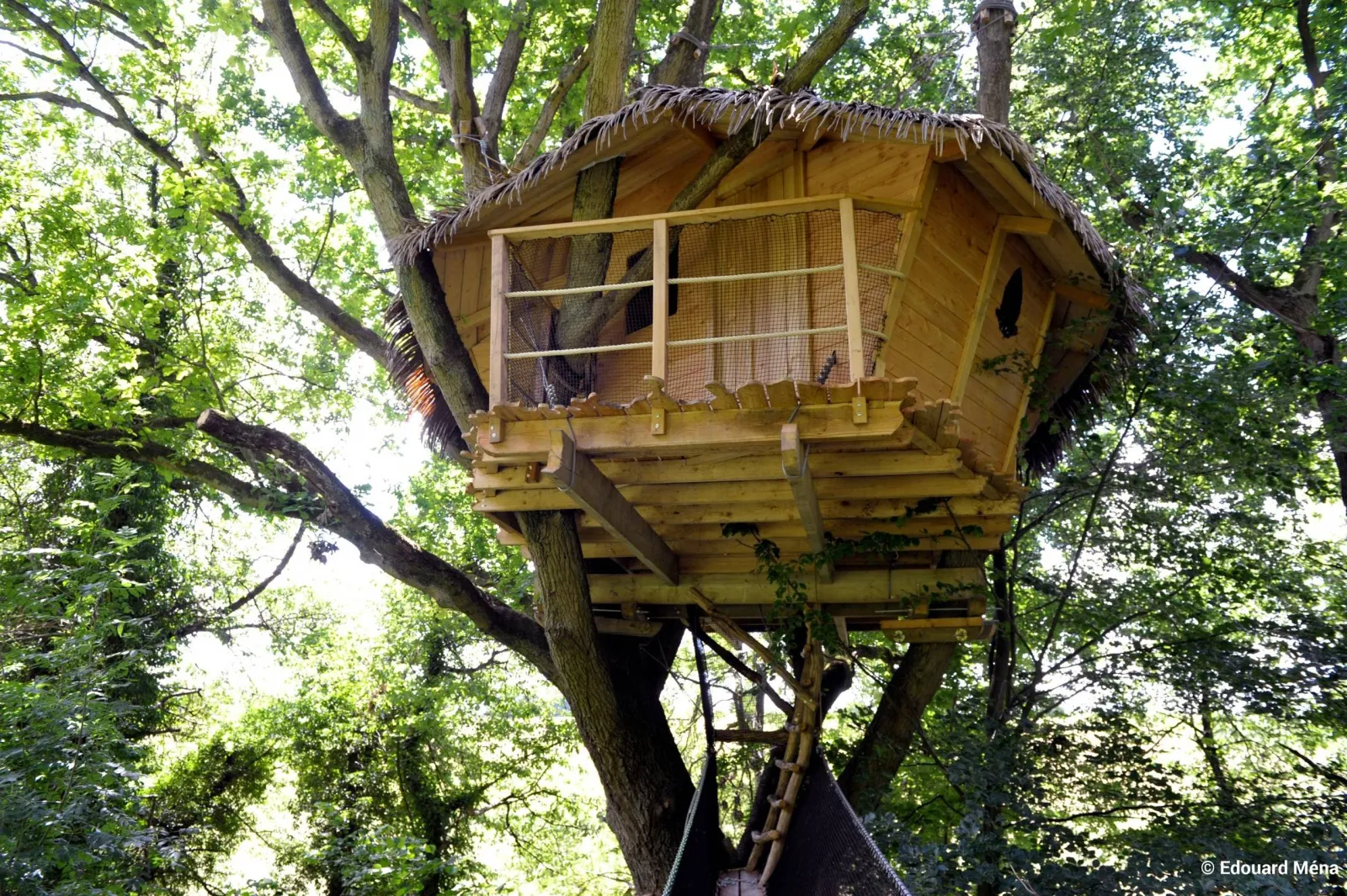 Cabane du Vieux Chêne à Saint-Germain-des-Essourts, photo 3