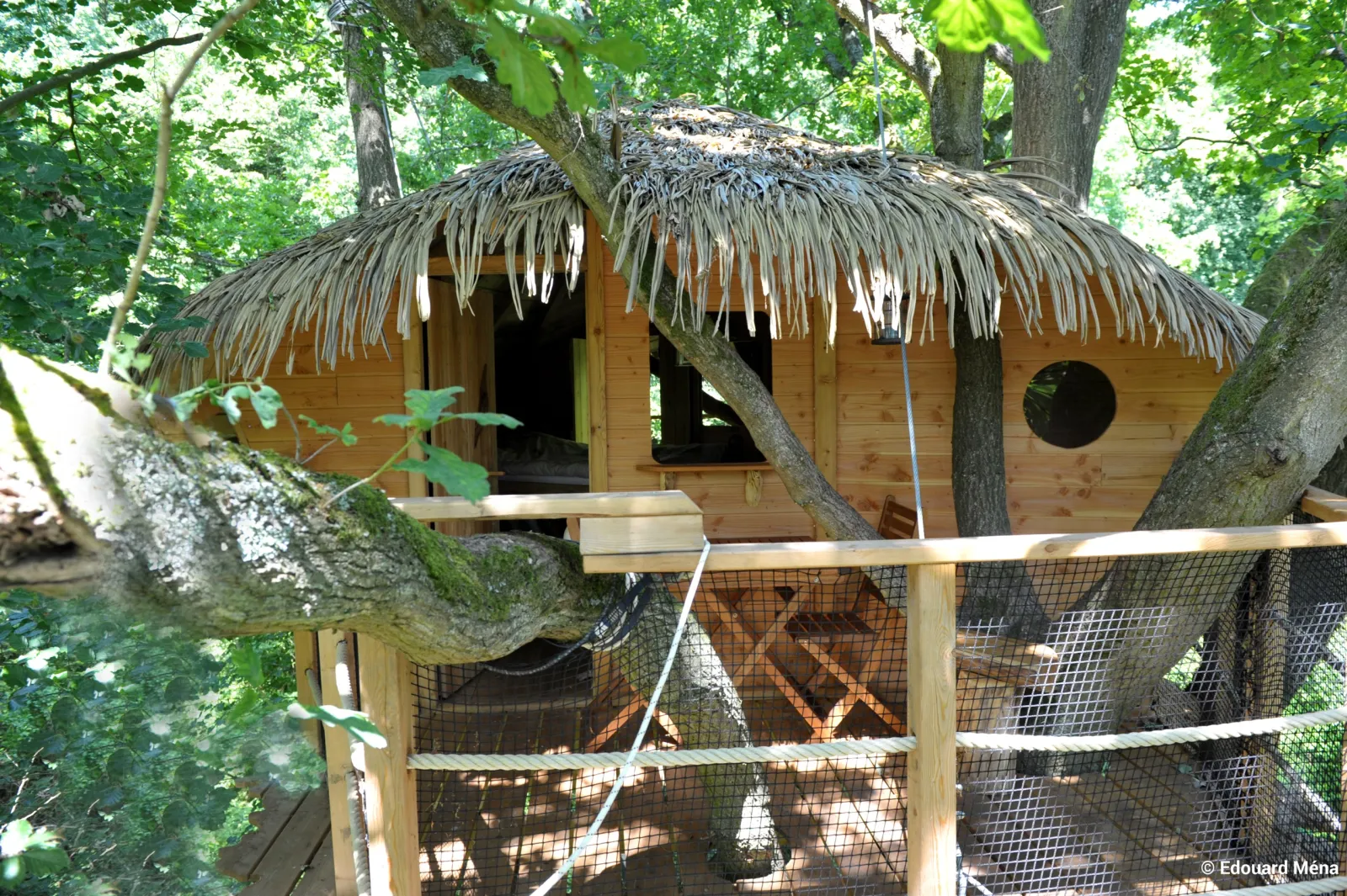 Cabane du Vieux Chêne à Saint-Germain-des-Essourts, photo 5