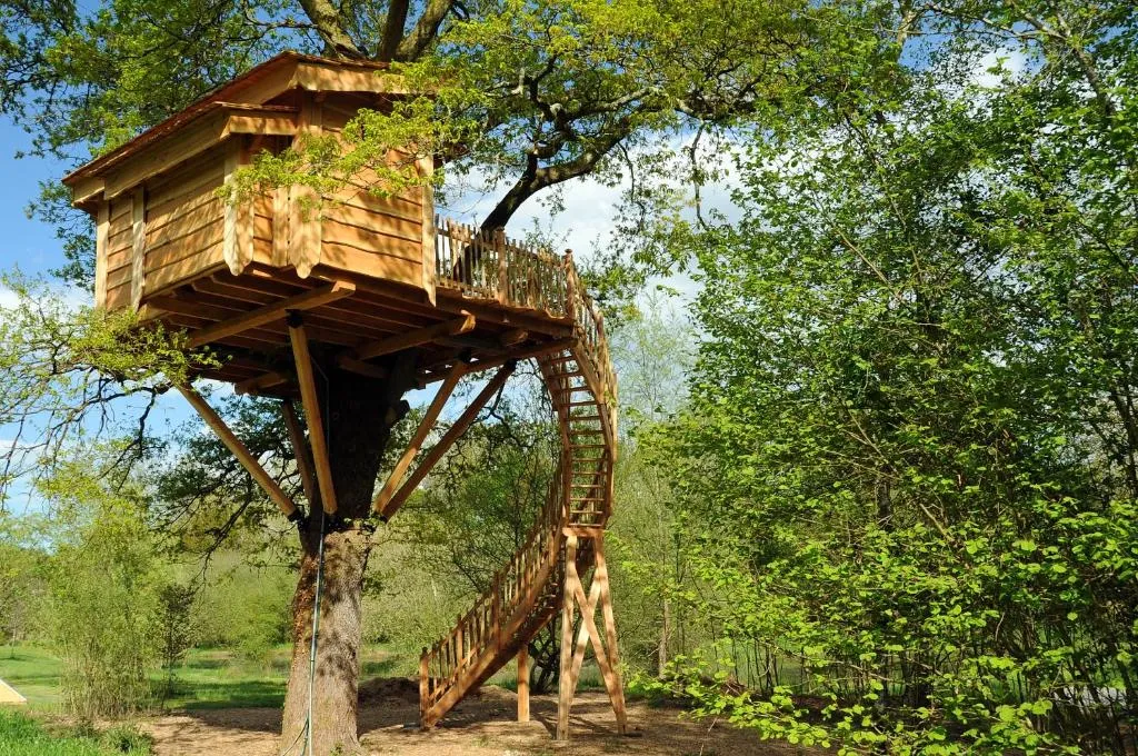 La Cabane du Vieux Chêne à Susmiou, photo 4