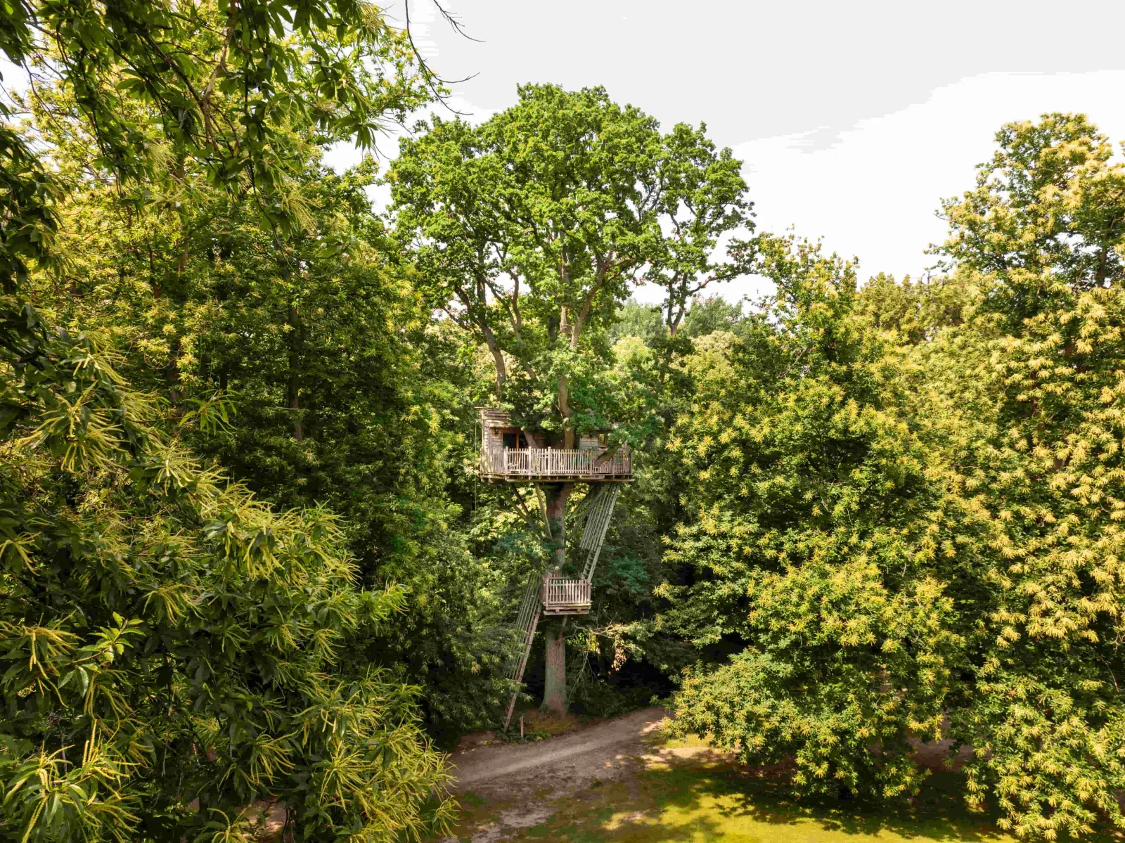 Cabane Duo dans les Arbres, cabane dans les arbres à Raray
