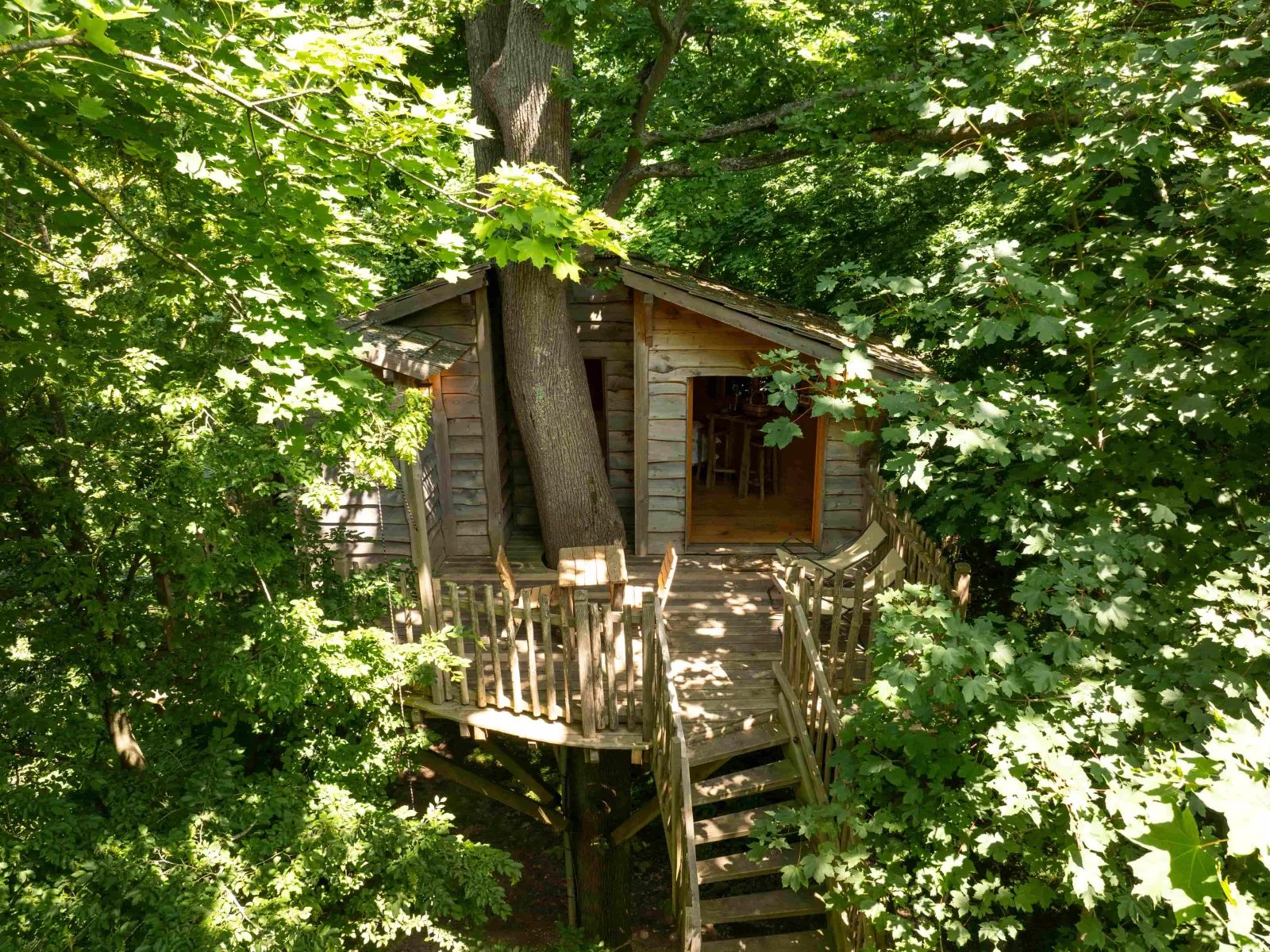 Cabane Duo dans les Arbres à Raray, photo 5