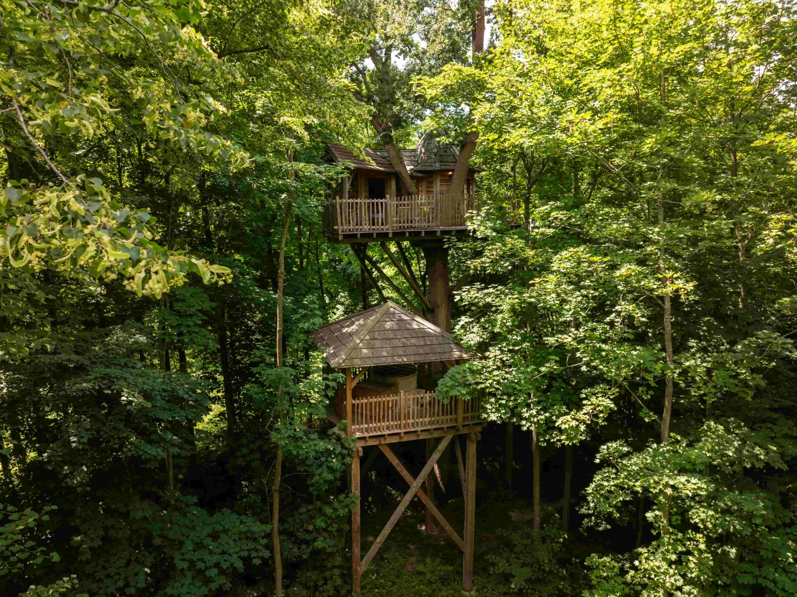 Cabane Duo Spa dans les Arbres à Raray, photo 2