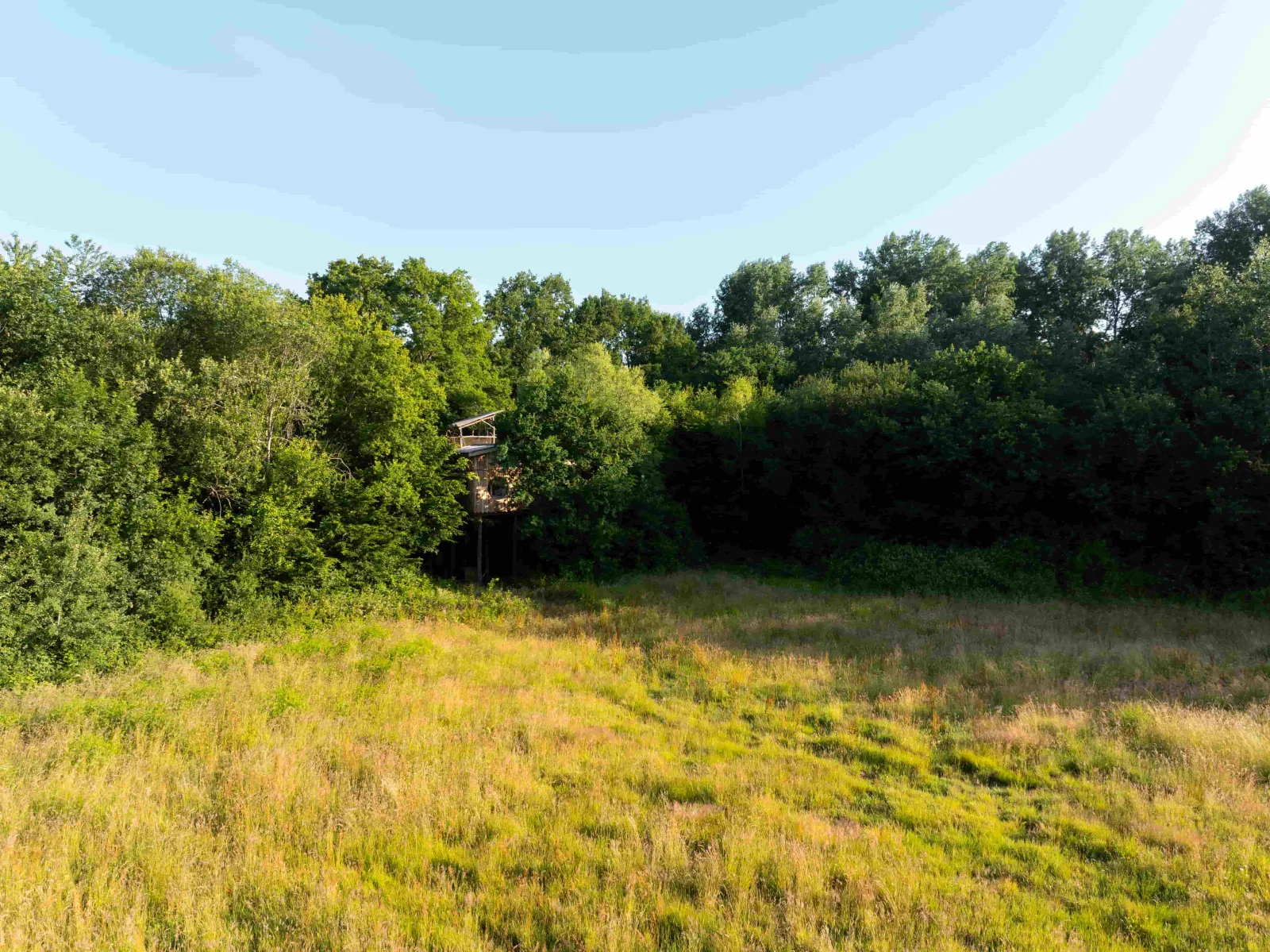 Cabane École Buissonnière, cabane sur pilotis à Saint-Léger-aux-Bois