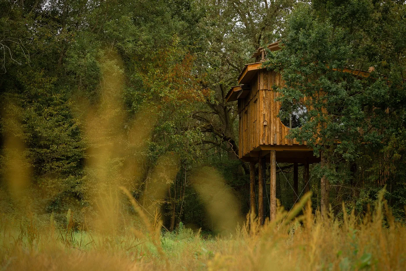 Cabane École Buissonnière à Saint-Léger-aux-Bois, photo 4