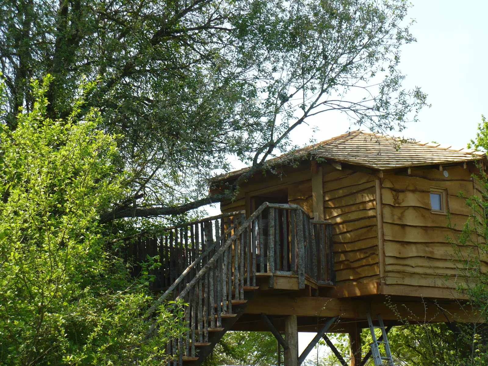 Cabane Écureuil, cabane dans les arbres à Batilly-en-Puisaye