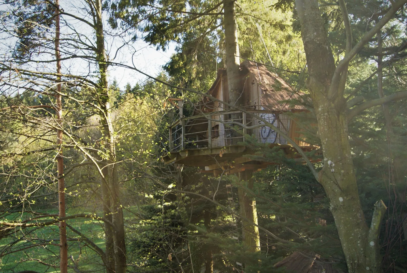 Cabane Écureuil, cabane dans les arbres à Belsentes