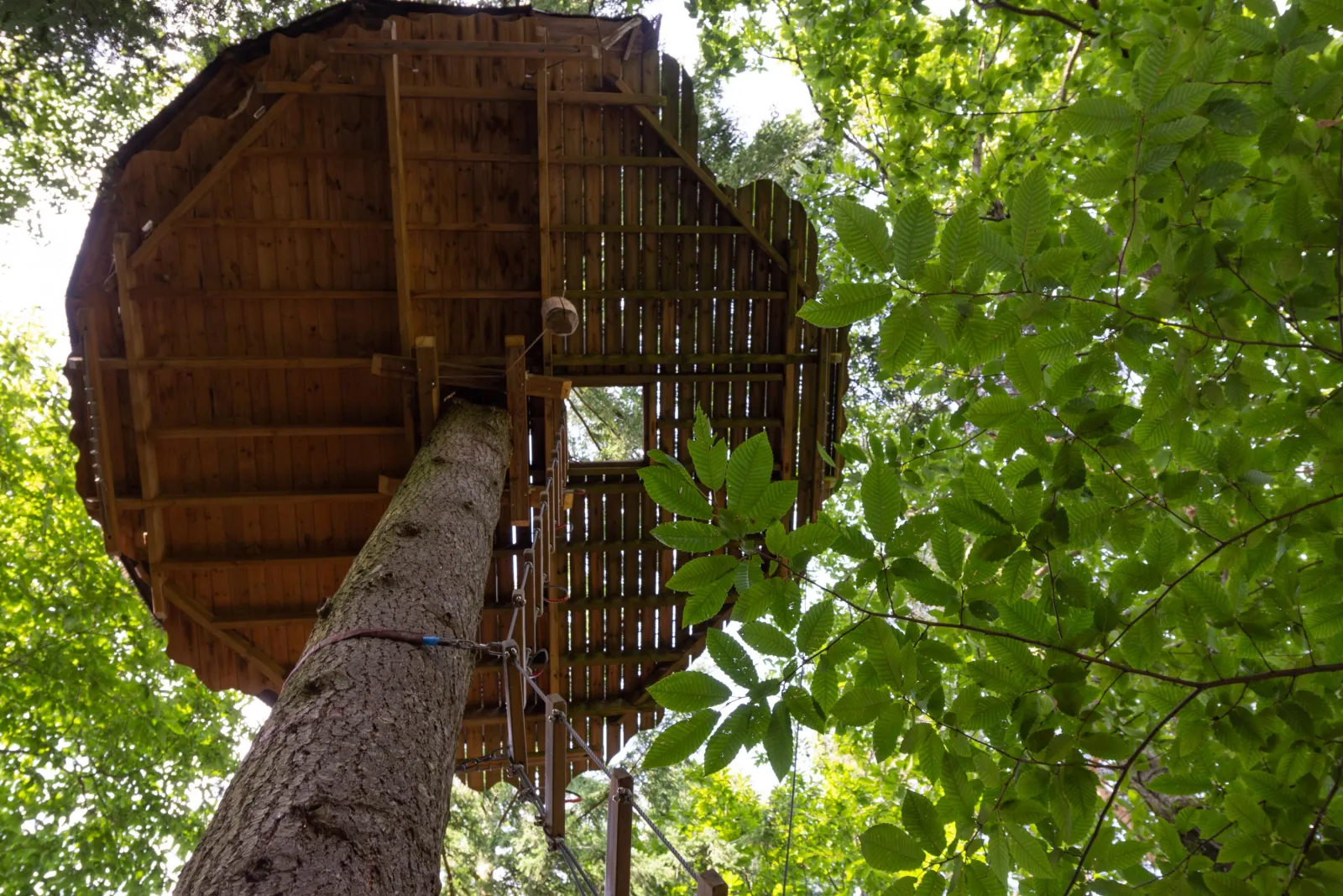 Cabane Écureuil à Belsentes, photo 3