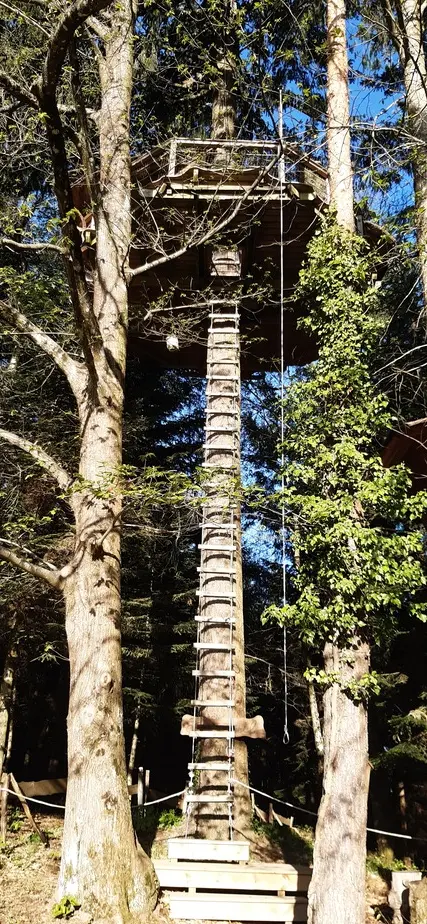 Cabane Écureuil à Belsentes, photo 5
