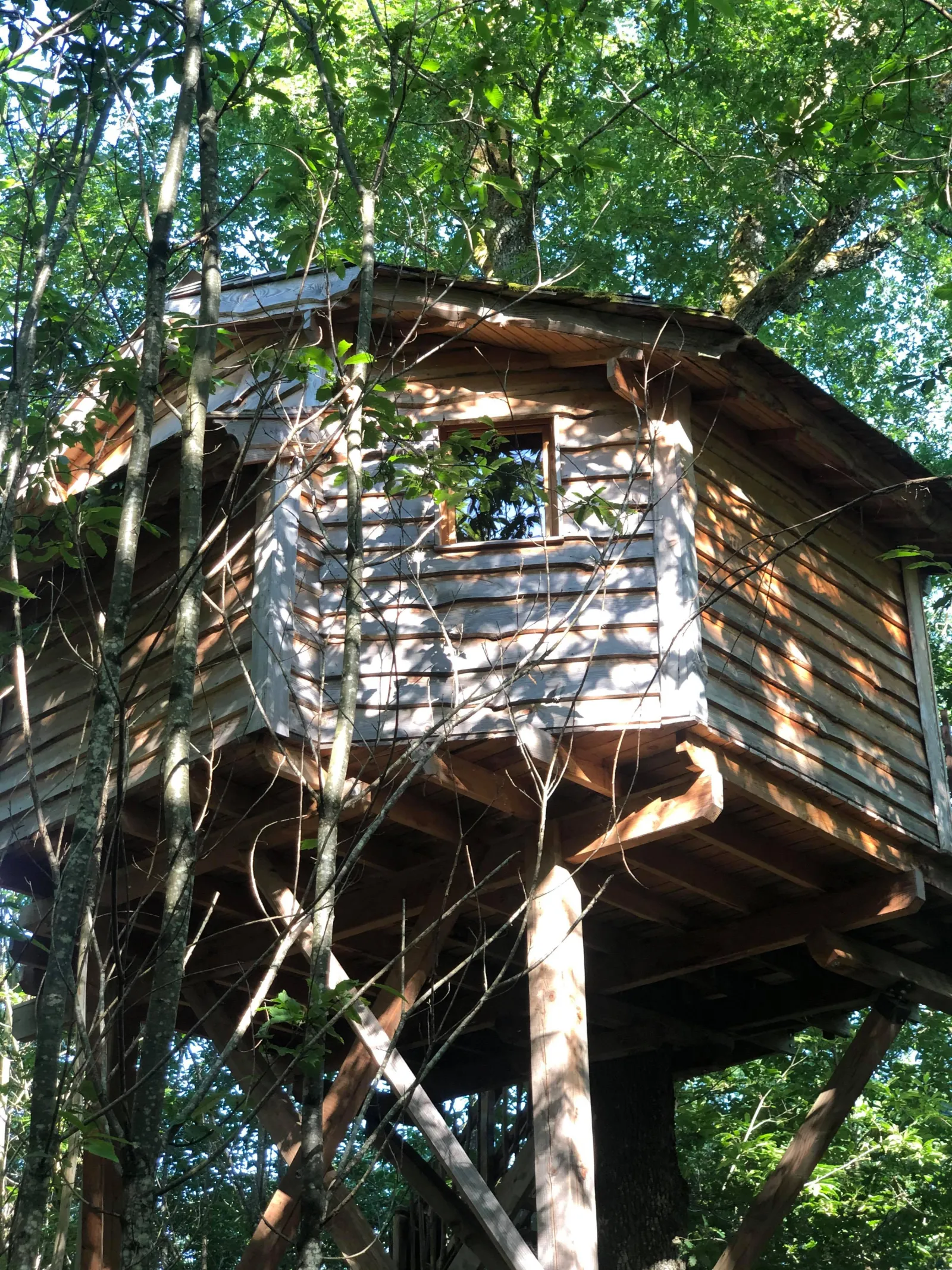 Cabane Écureuil à Lempzours, photo 5
