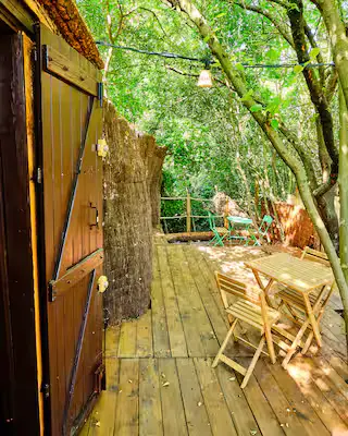 Cabane en bord de rivière à Velleron, photo 5
