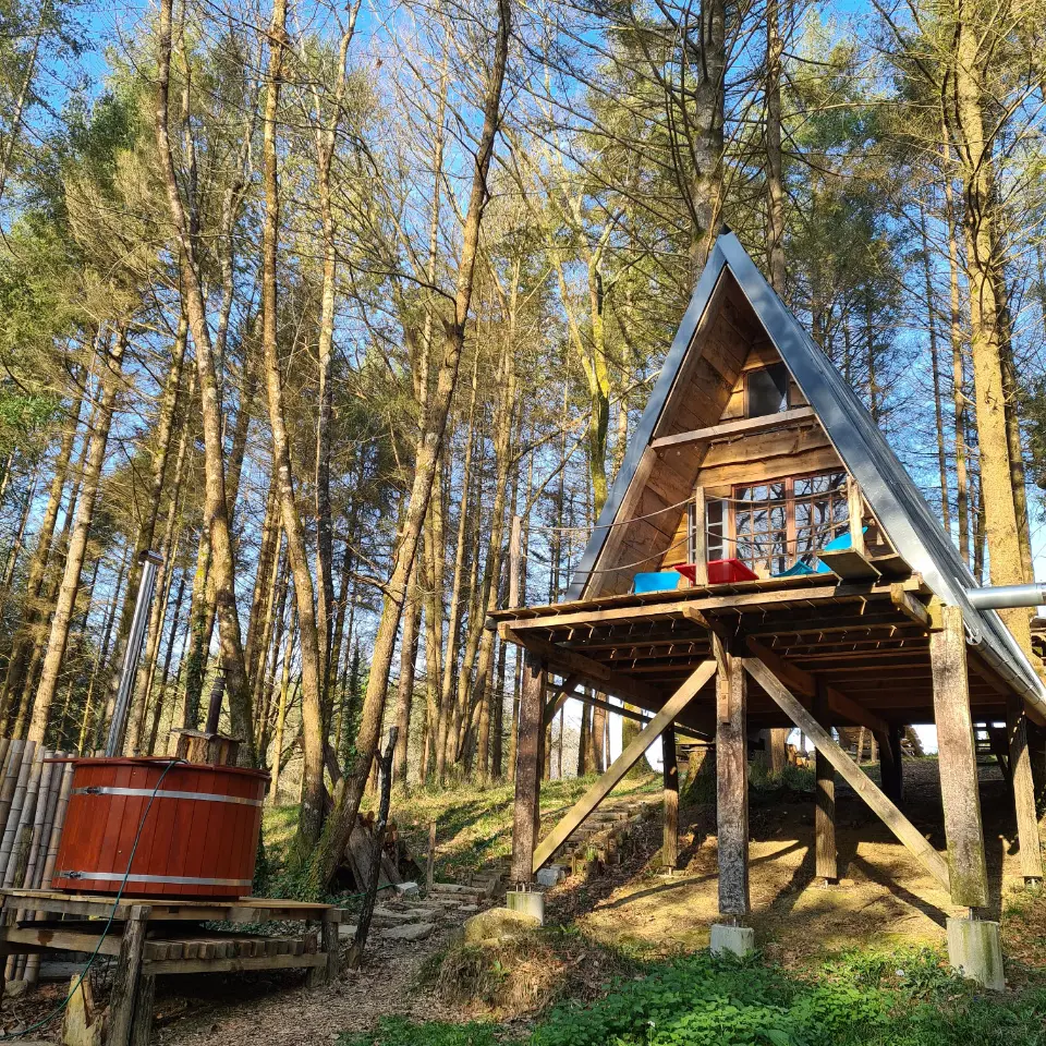 Cabane en forêt de Salies, cabane dans les arbres à Salies-de-Béarn