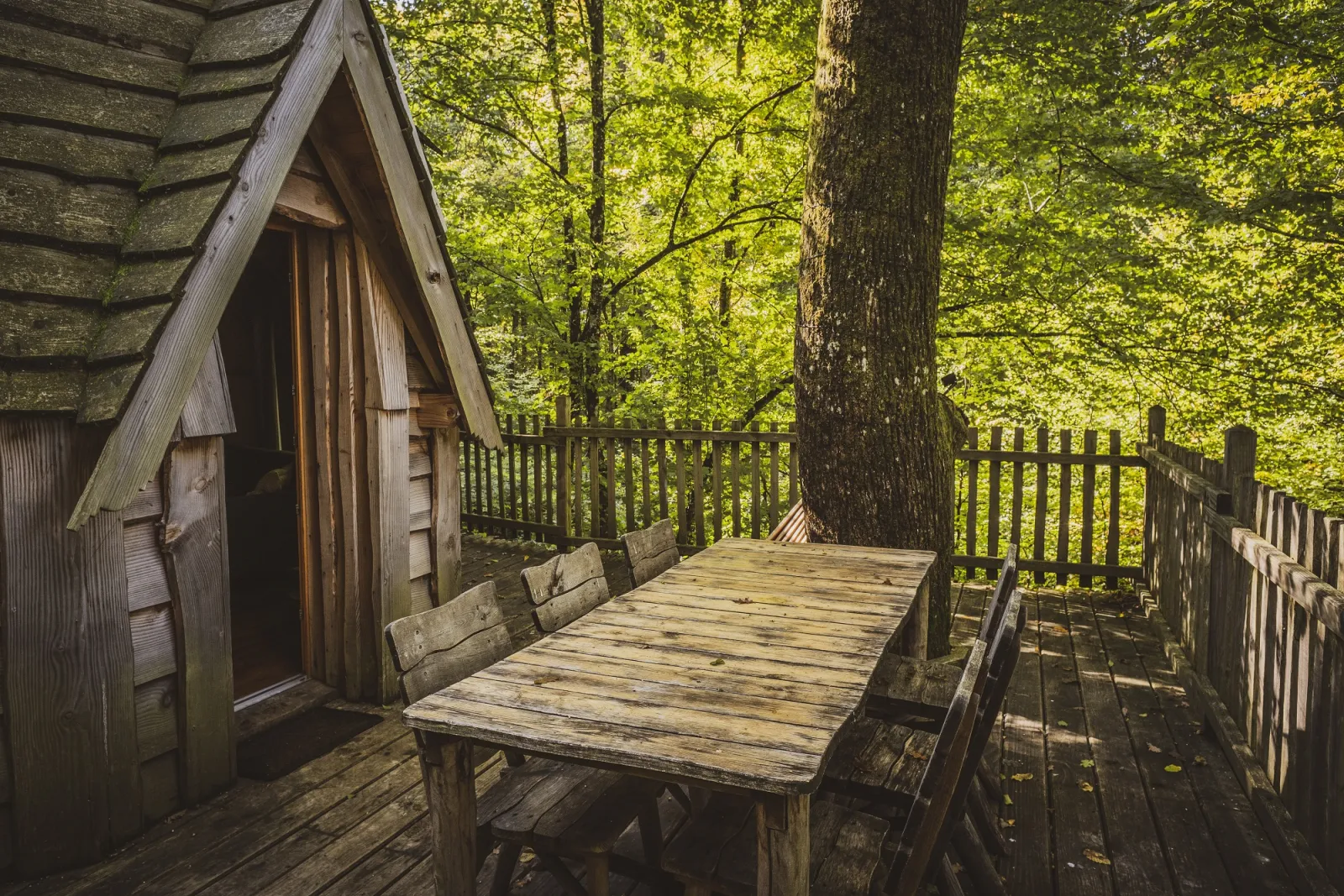 Cabane Enchantée à Joncherey, photo 3