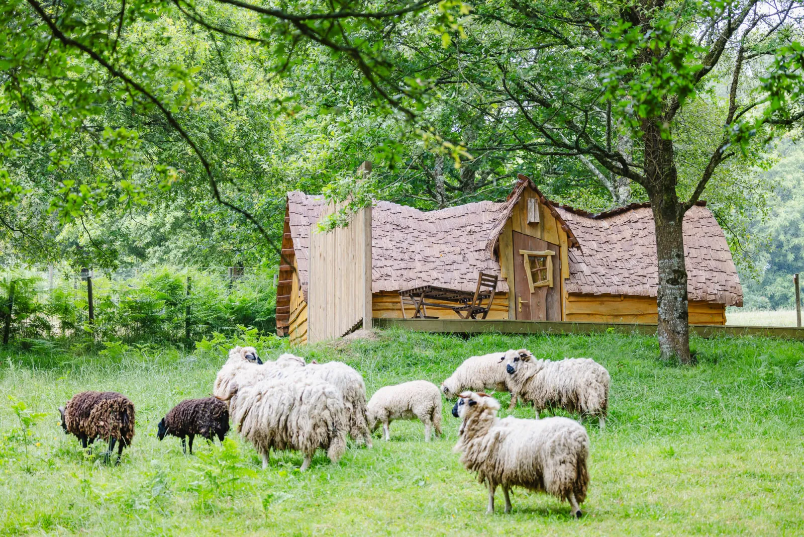 Cabane Enchantée à Pluméliau-Bieuzy, photo 3