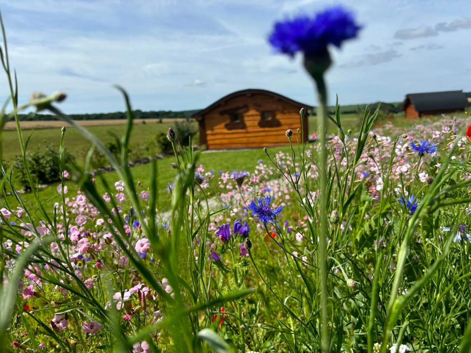 Cabane Enchantée, cabane au sol à Romain-sur-Meuse