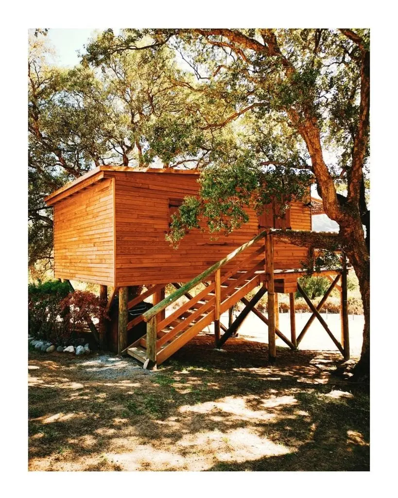 Cabane Entre deux chênes à Loreto-di-Tallano, photo 4