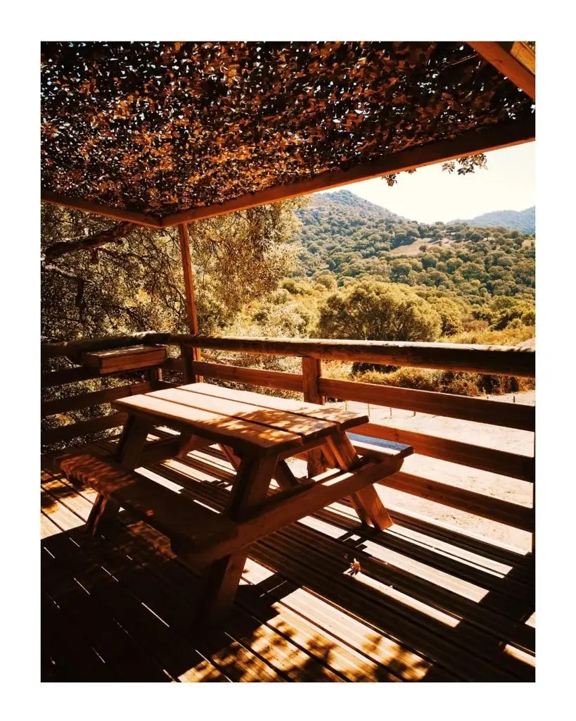 Cabane Entre deux chênes à Loreto-di-Tallano, photo 5