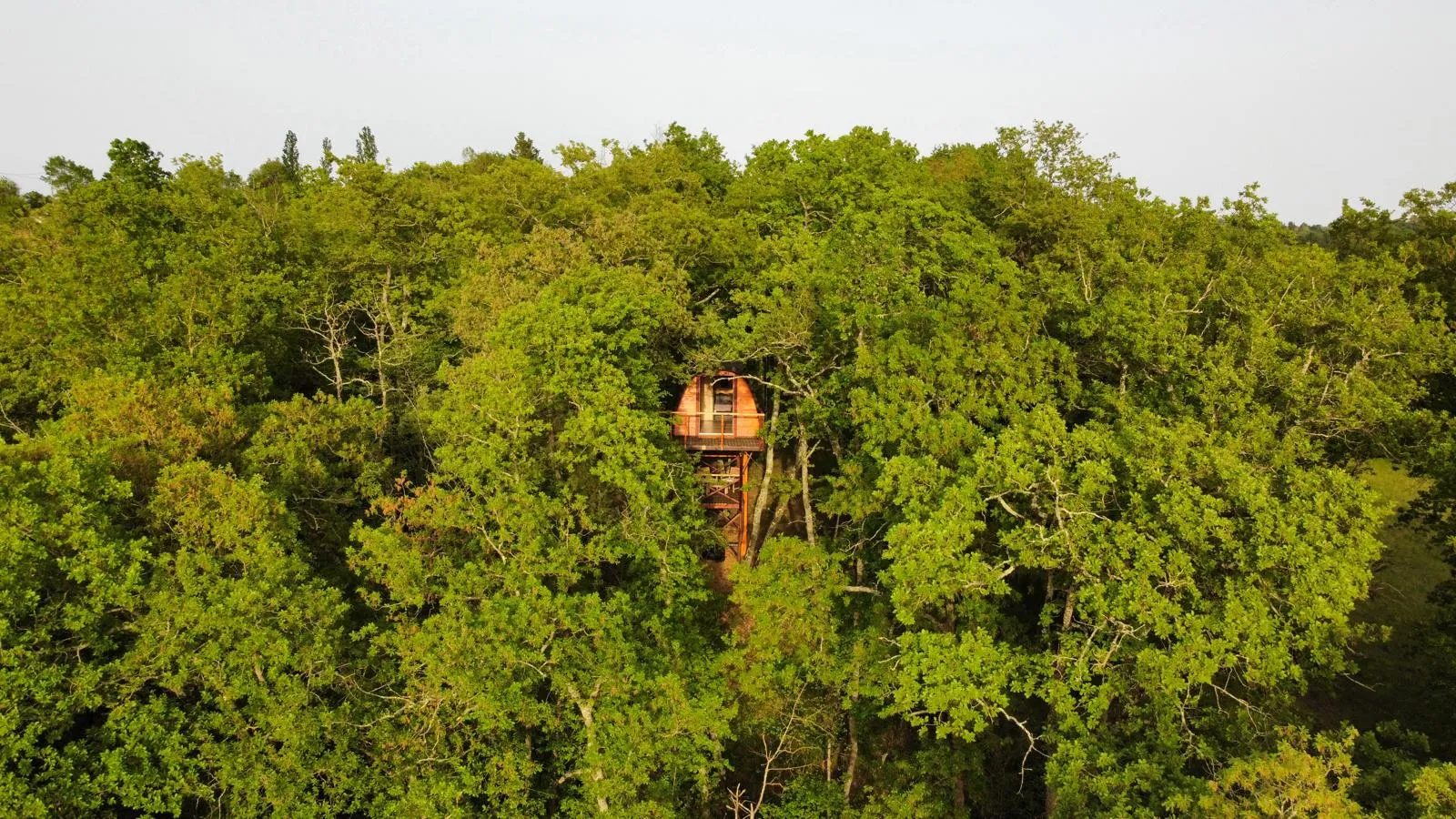 Cabane entre les cimes, cabane sur pilotis à Montgras