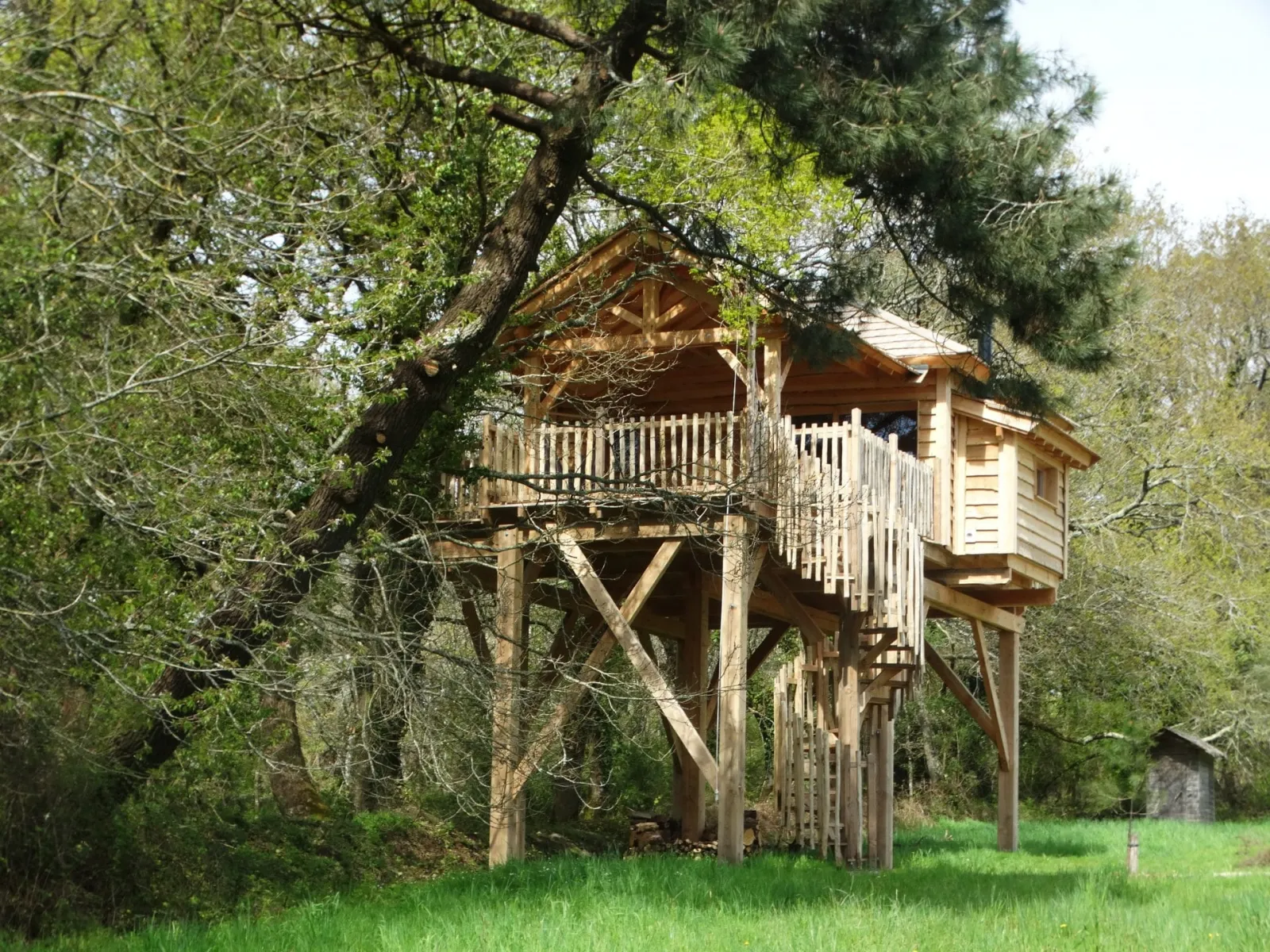 Cabane EnTy, cabane dans les arbres à Ploemel