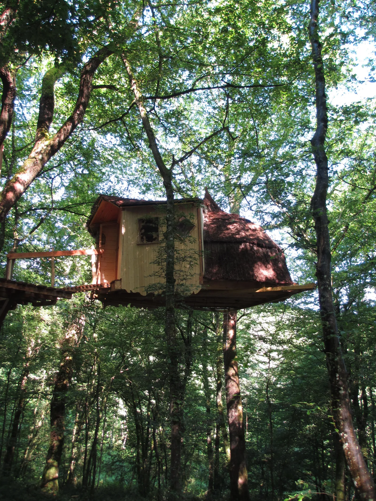 Cabane Eole, cabane dans les arbres à Ranchot