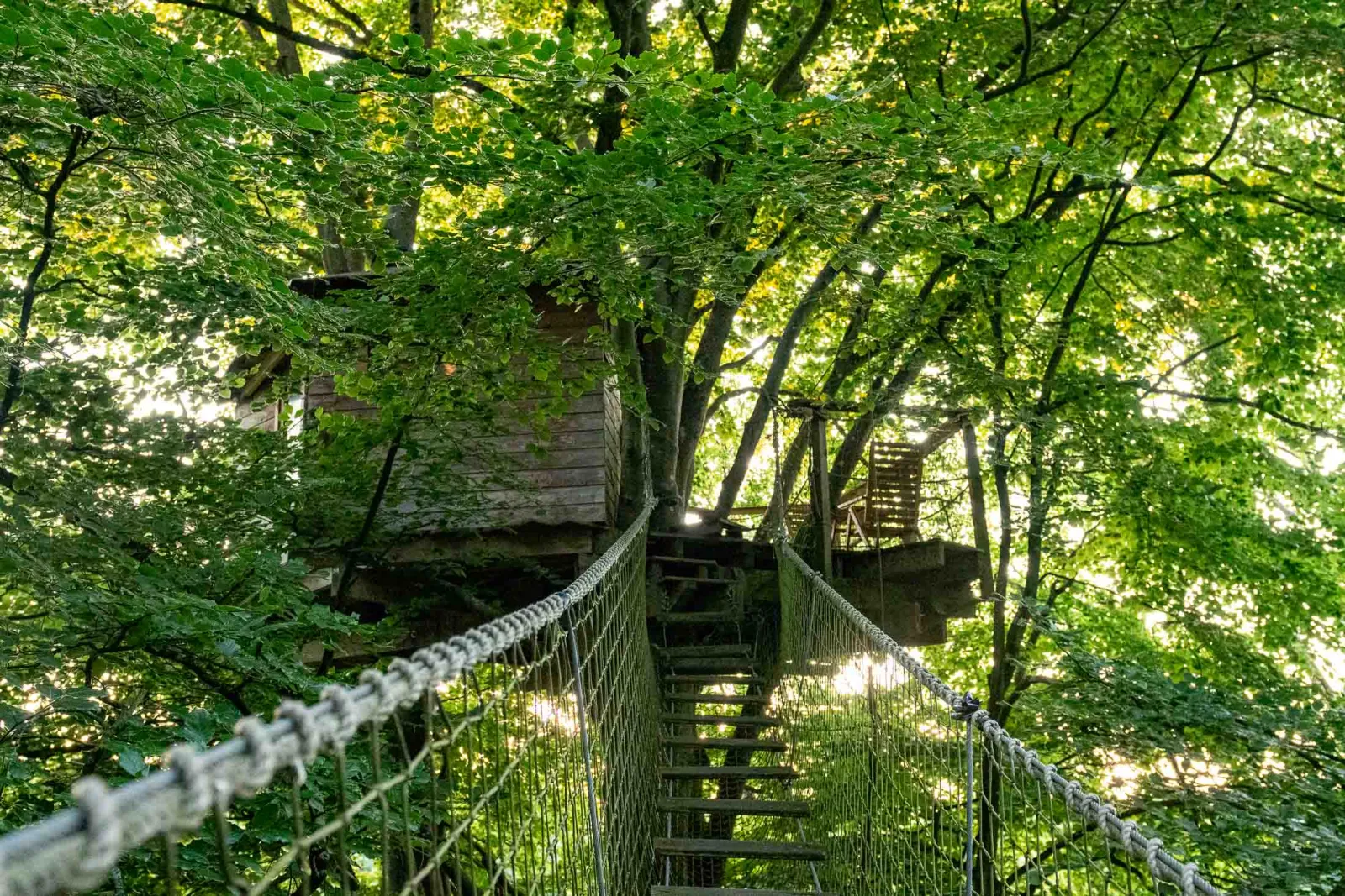 Cabane Épervier, cabane dans les arbres à Saint-Pierre-Azif