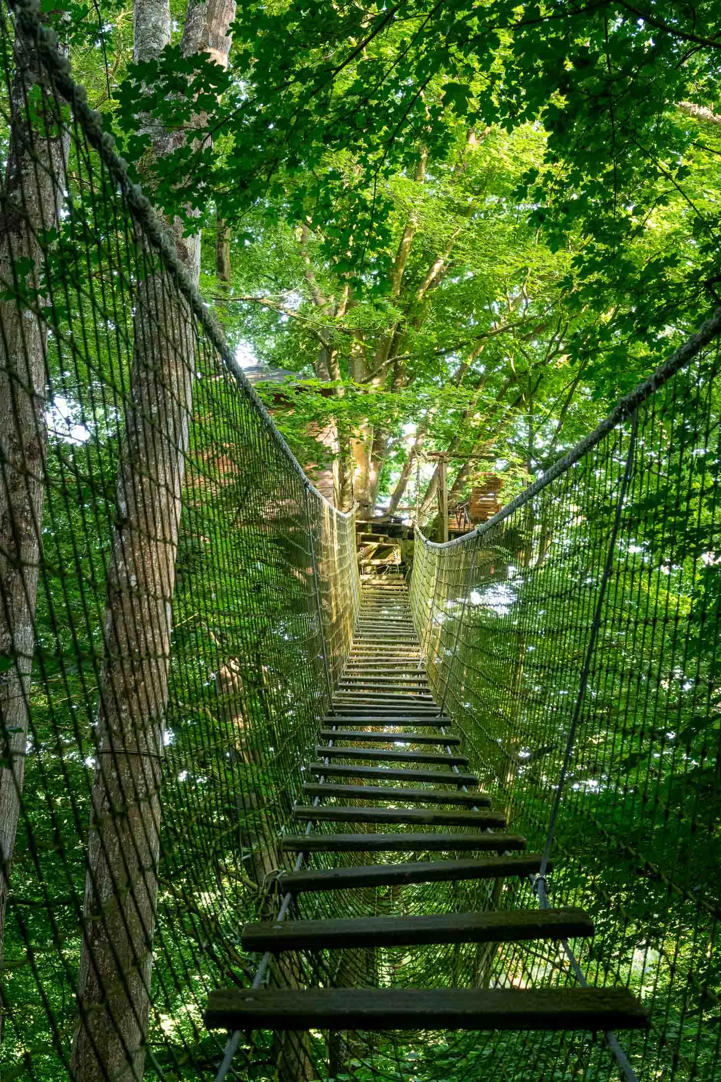Cabane Épervier à Saint-Pierre-Azif, photo 2