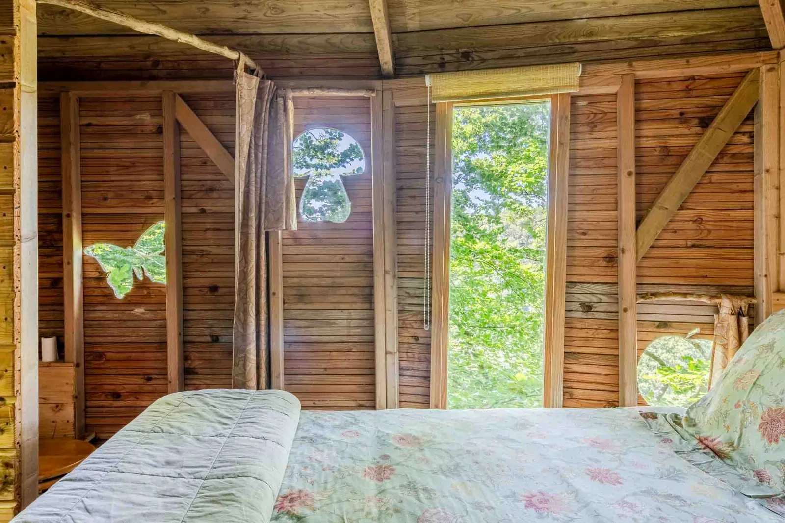 Cabane Épervier à Saint-Pierre-Azif, photo 5