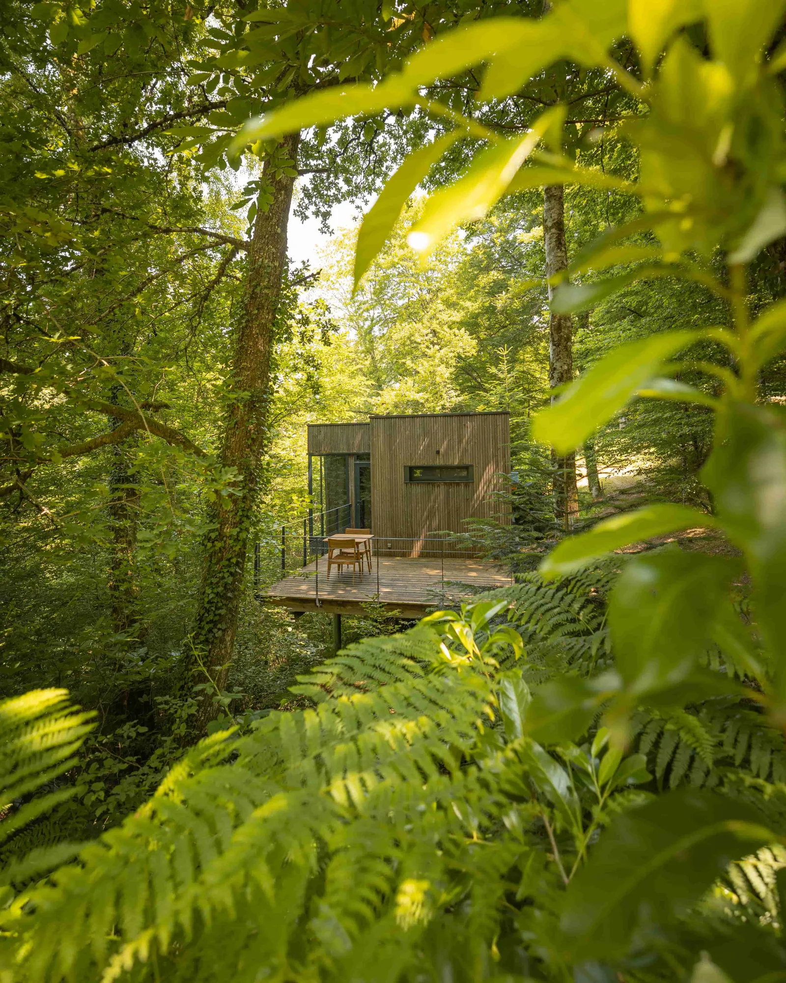 Cabane Epicéa, cabane dans les arbres à Meyrignac-l'Église