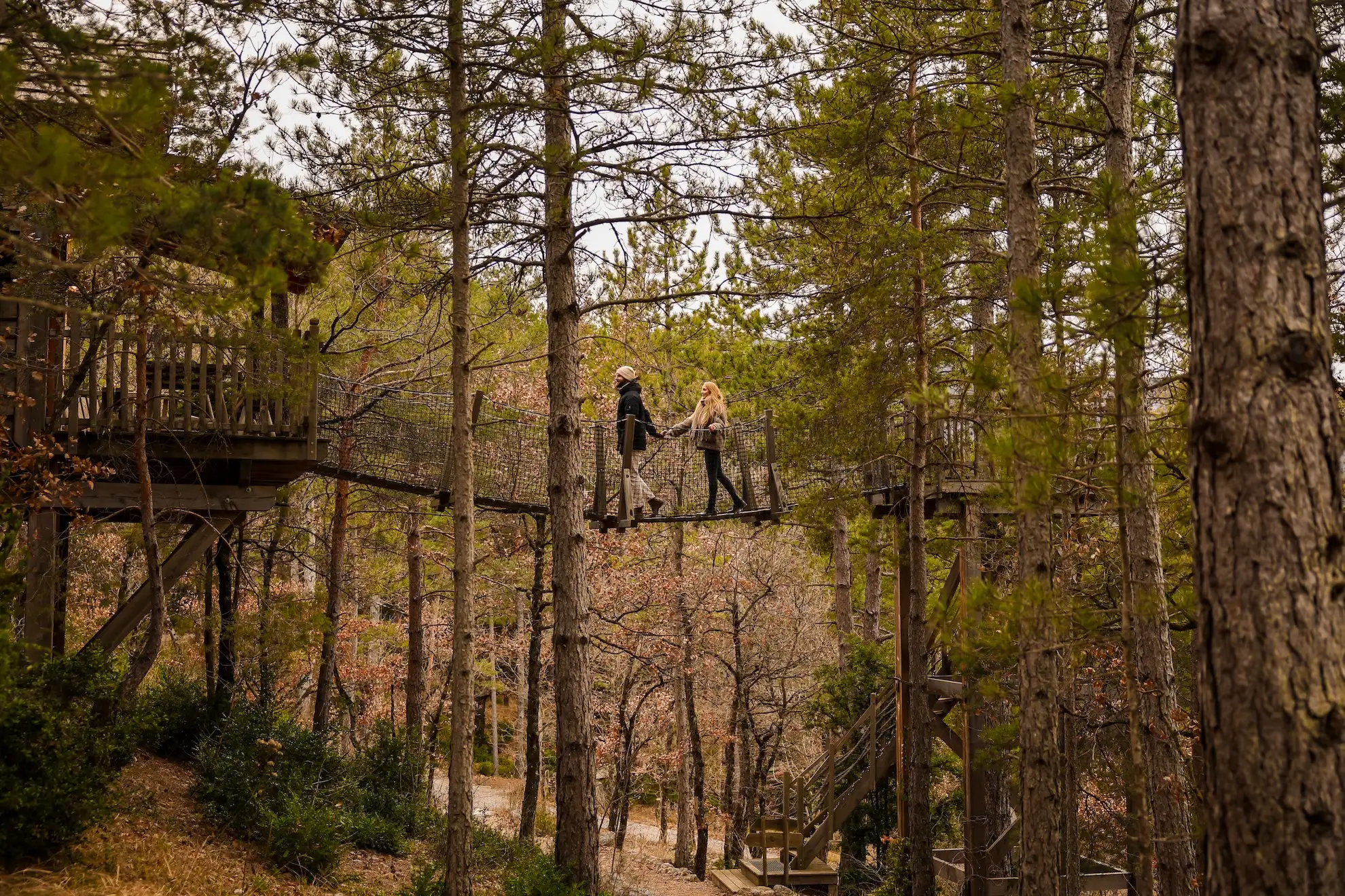 Cabane Épine Vinette à Serres, photo 5
