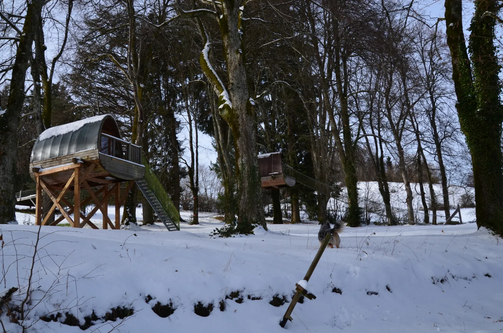 Cabane Escalier de Monchâteau à Merlas, photo 4