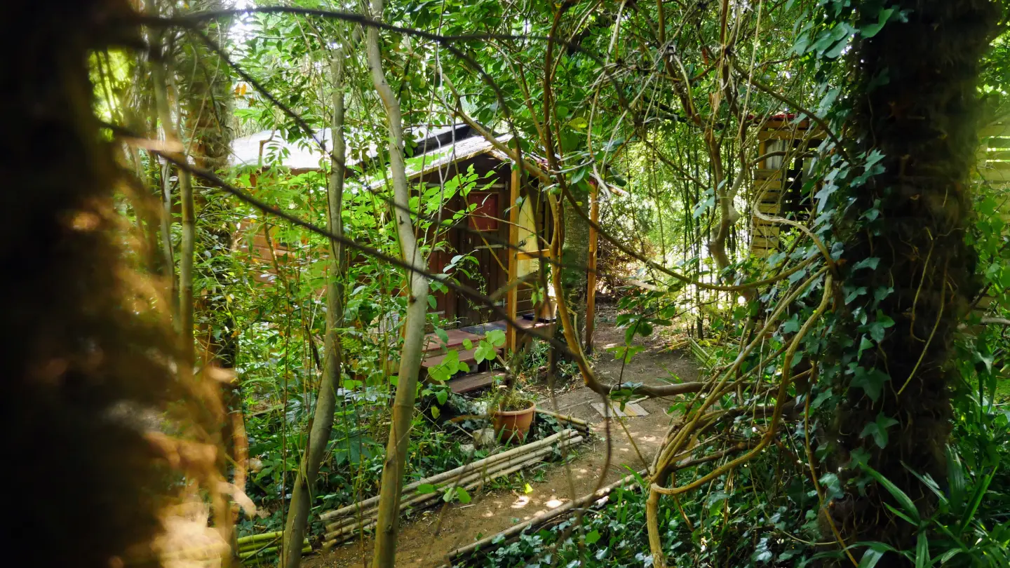 Cabane exotique à Saint-Césaire, photo 5