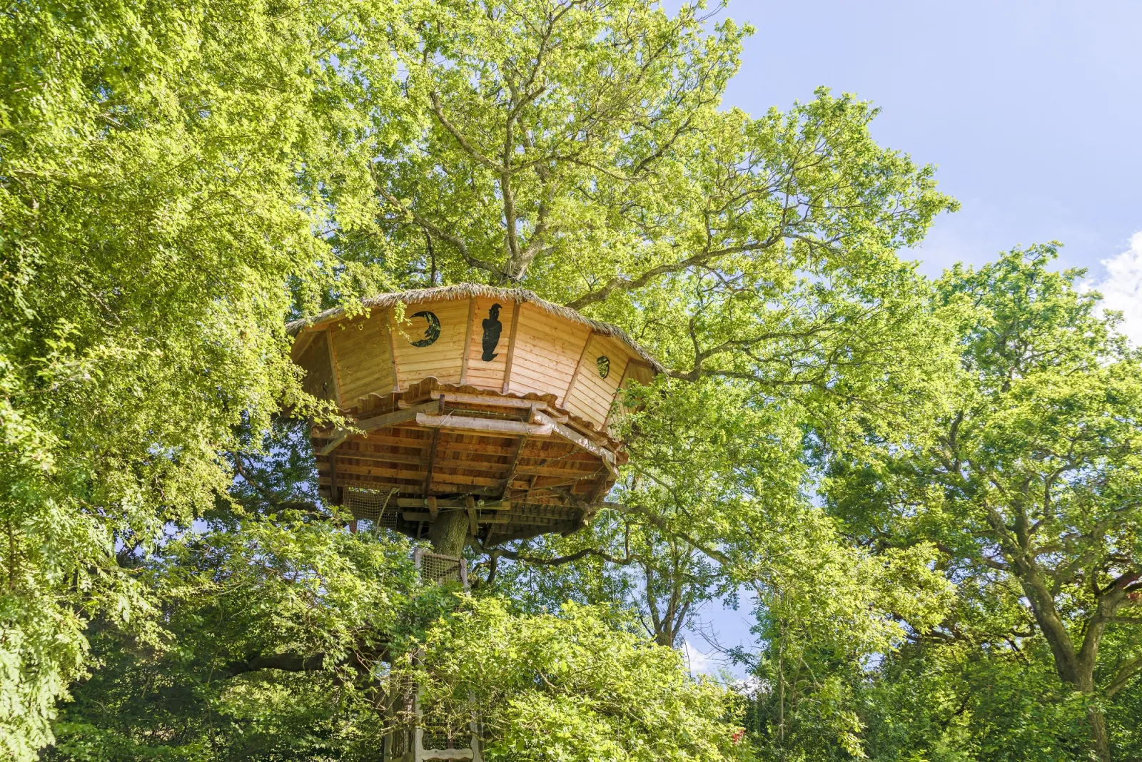 Cabane Extase, cabane dans les arbres à Chassey-lès-Montbozon