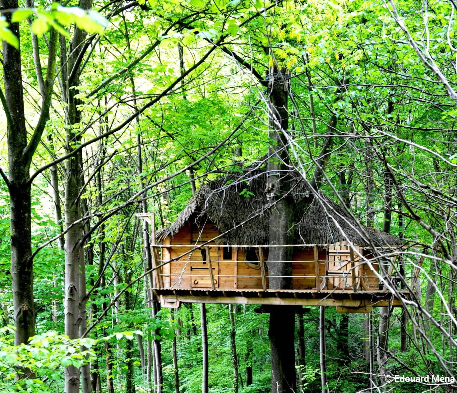 Cabane Fer à cheval, cabane dans les arbres à Saint-Germain-des-Essourts