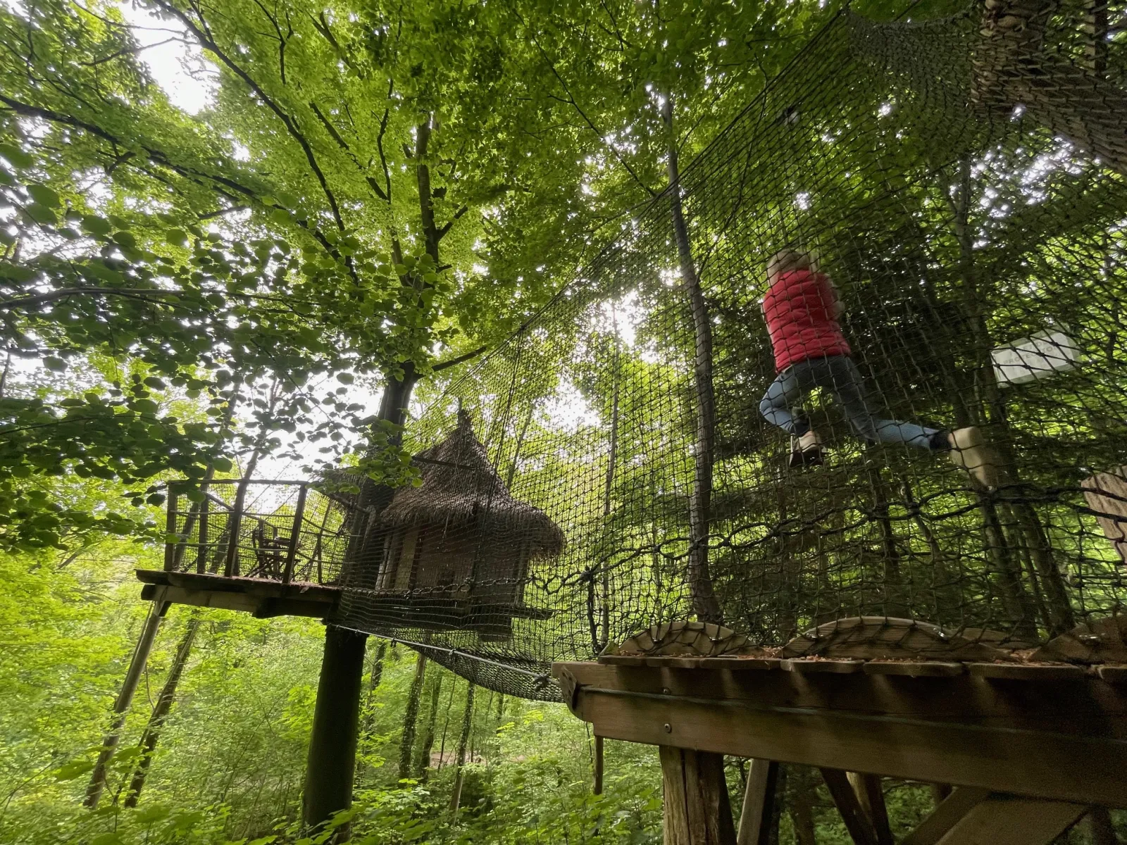 Cabane Fer à cheval à Saint-Germain-des-Essourts, photo 5