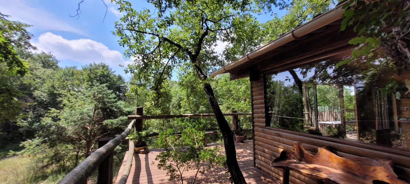 Cabane Fetia, cabane au sol à Tourrettes-sur-Loup