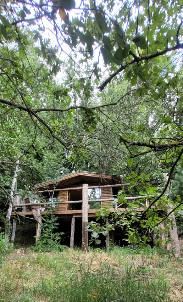 Cabane Fetia à Tourrettes-sur-Loup, photo 4