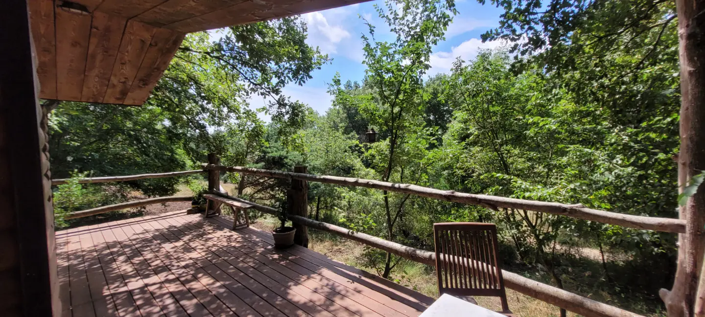 Cabane Fetia à Tourrettes-sur-Loup, photo 5