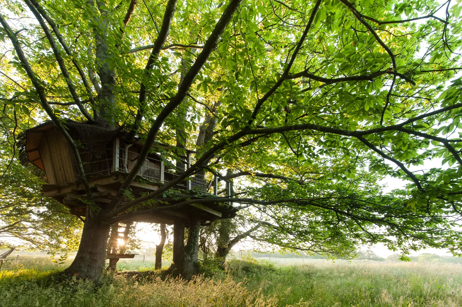 Cabane Folenn, cabane dans les arbres à Ploemel