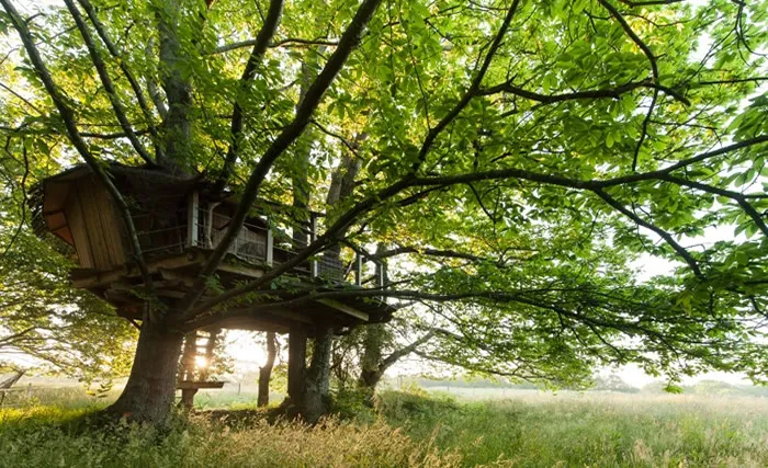Cabane Folenn à Ploemel, photo 3
