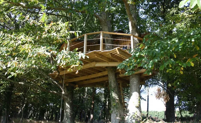 Cabane Folenn à Ploemel, photo 4