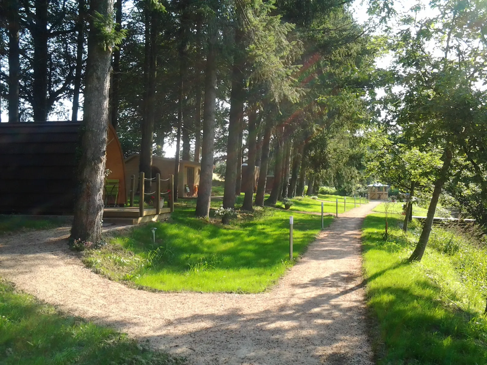 Cabane Forestière à Voussac, photo 4