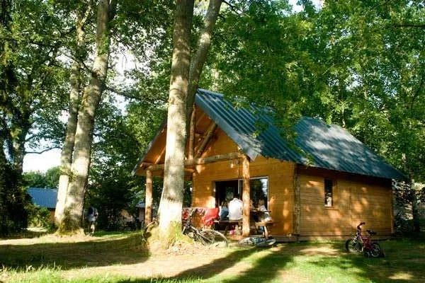 Cabane Forêt Rillé n°2 à Rillé, photo 2