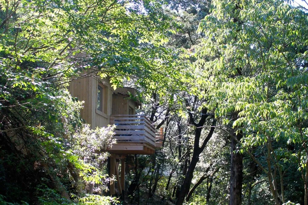 Cabane Fresnes à Villalier, photo 2