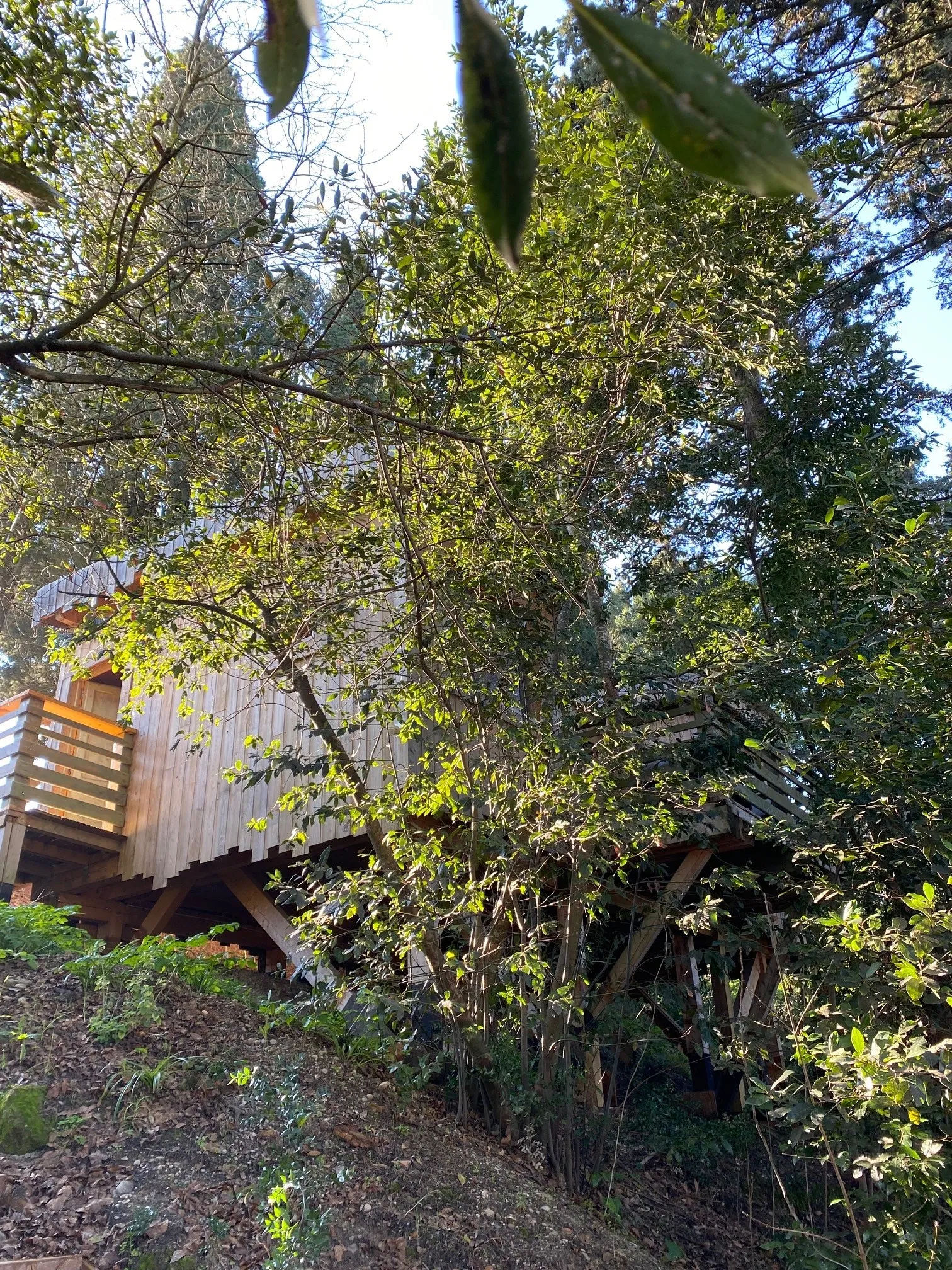 Cabane Fresnes à Villalier, photo 5