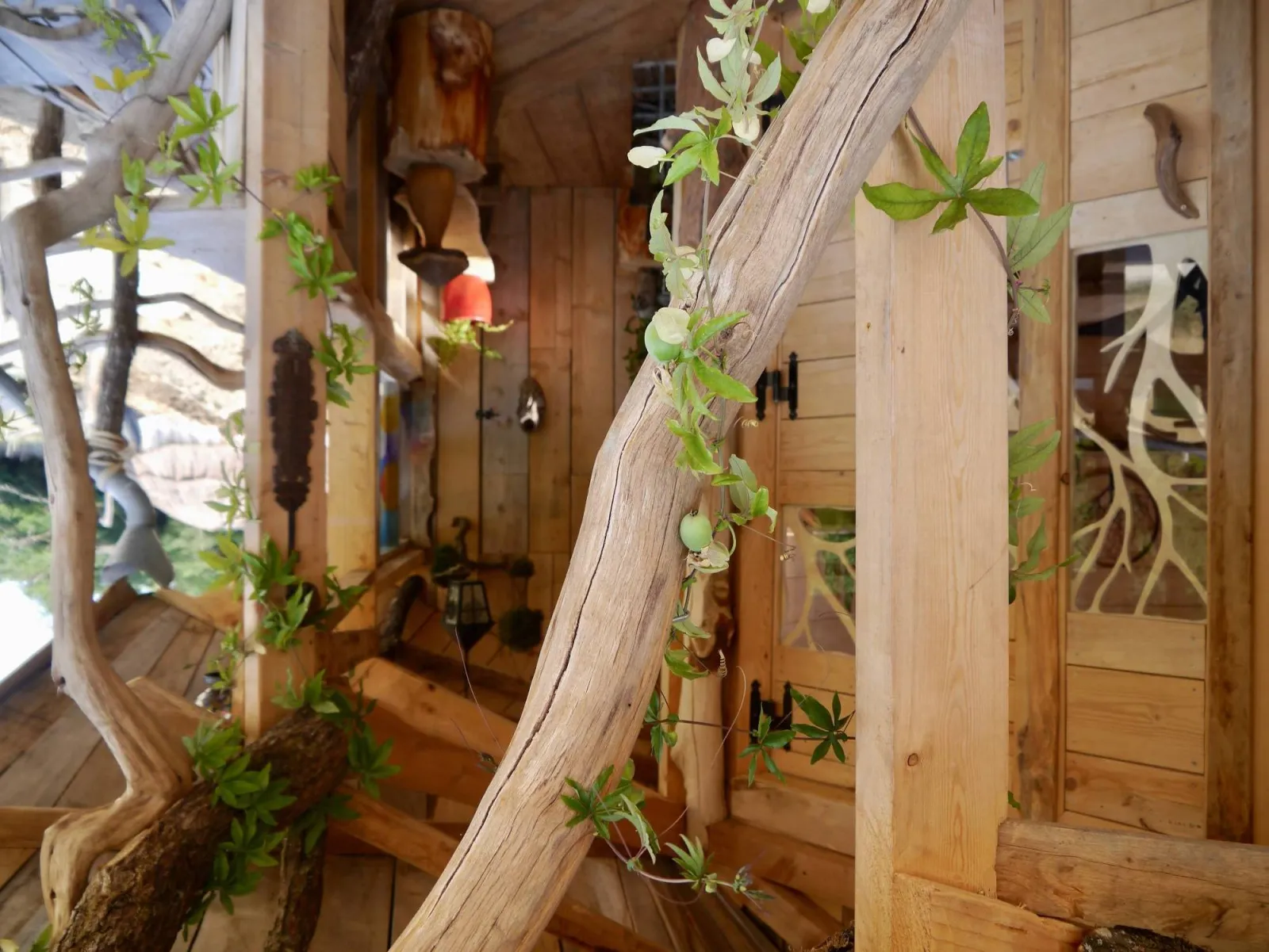 Cabane Gaia à Vittel, photo 3