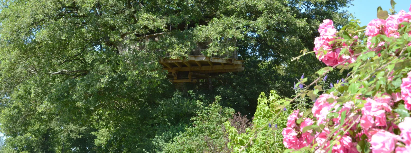 Cabane Girsberg à La Baconnière, photo 3